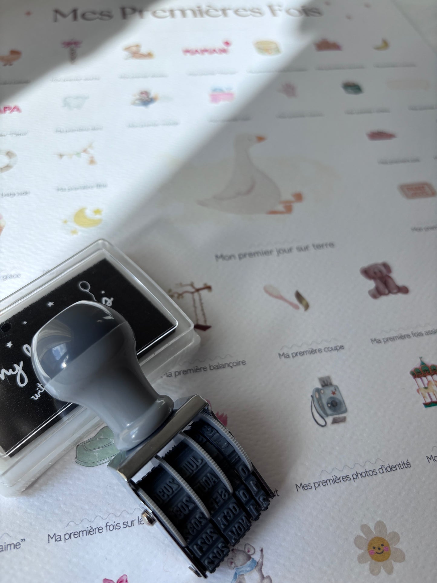 Affiche Mes Premières Fois 'Bébé Oie"